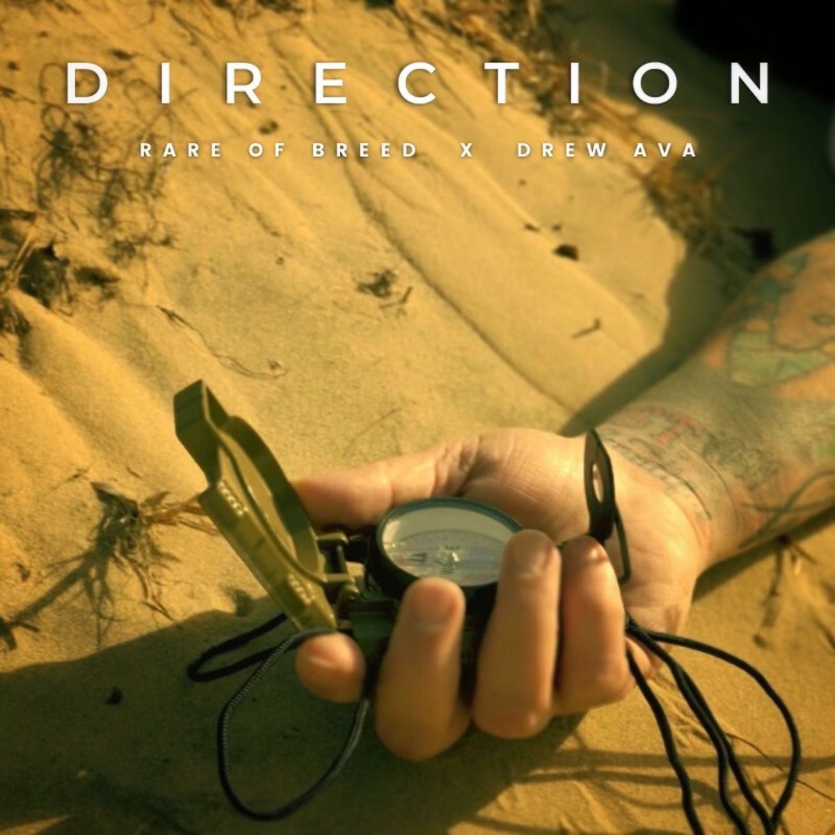 Album cover of Direction (feat. Drew Ava)