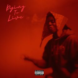 Cover of Dying To Live