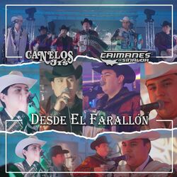 Cover of Desde Farallon