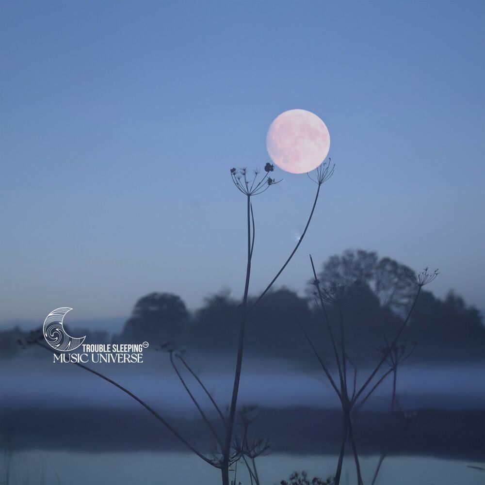 Picture of Calmly Lunar Rest