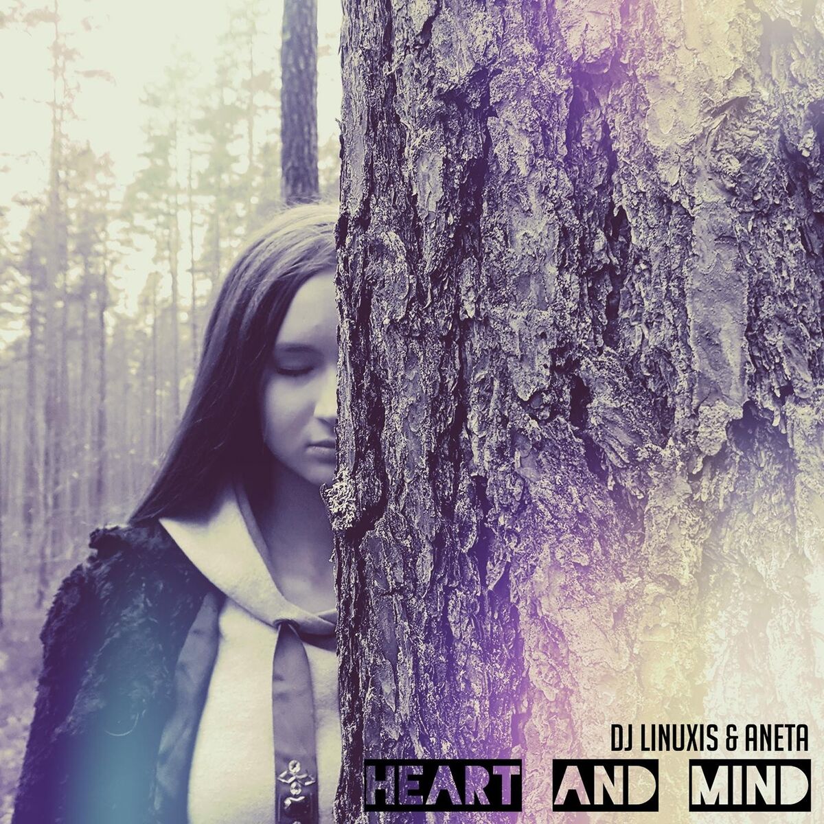 Album cover of Heart and Mind