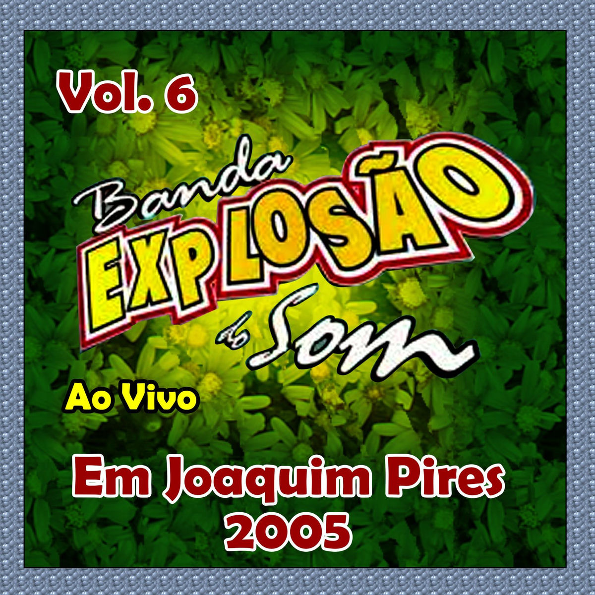 Album cover of VOL. 6 - AO VIVO EM JOAQUIM PIRES 2005