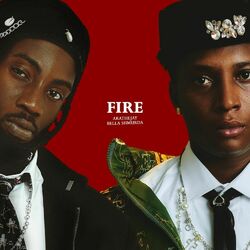 Cover of Fire