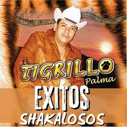 Cover of Exitos Shakalosos