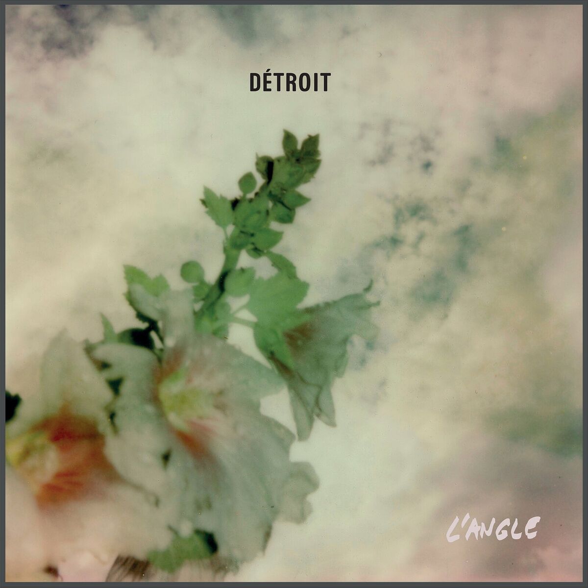 Album cover of L'Angle