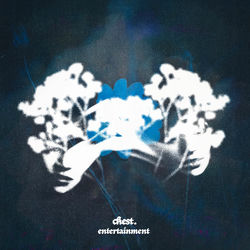 Pochette album