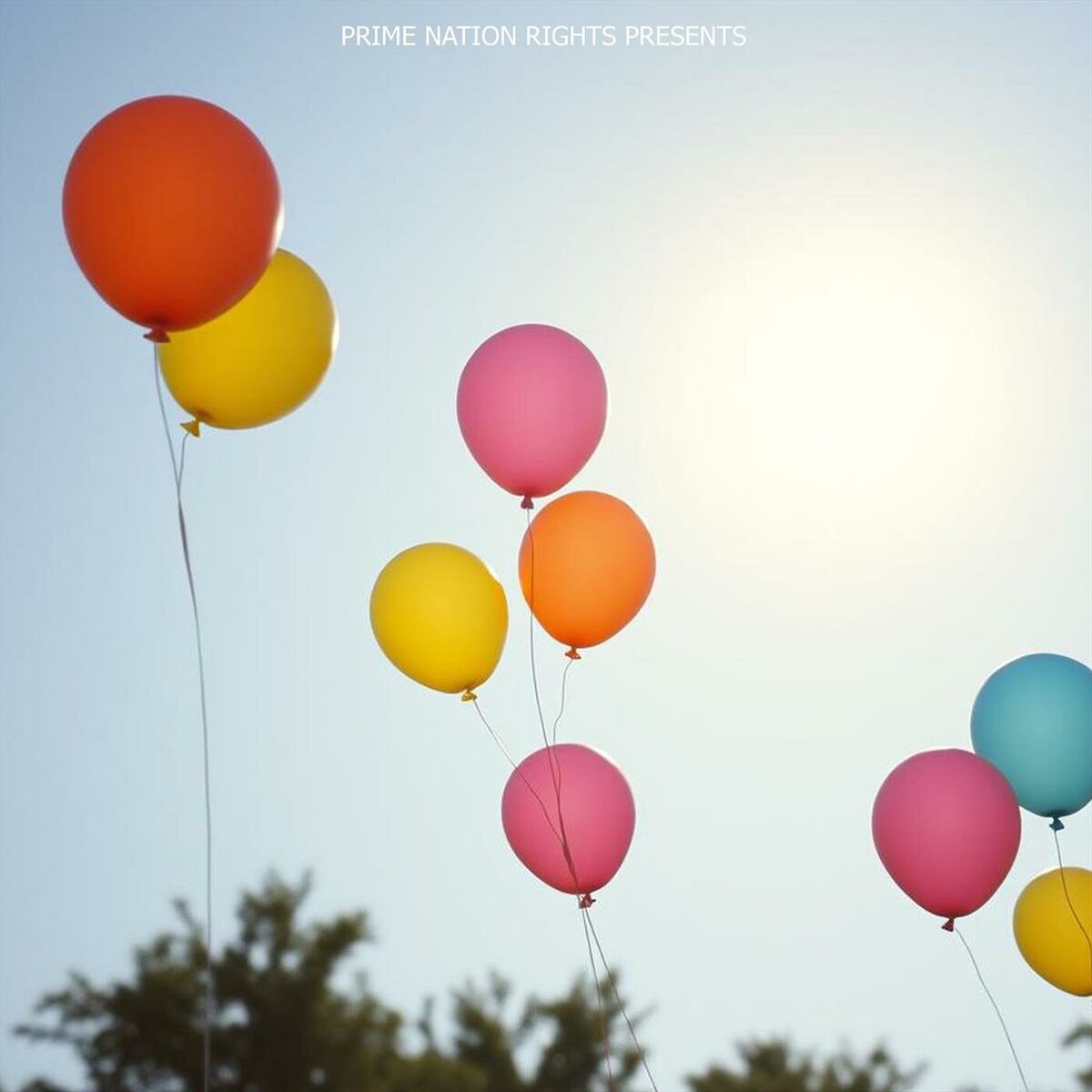 Album cover of Playground