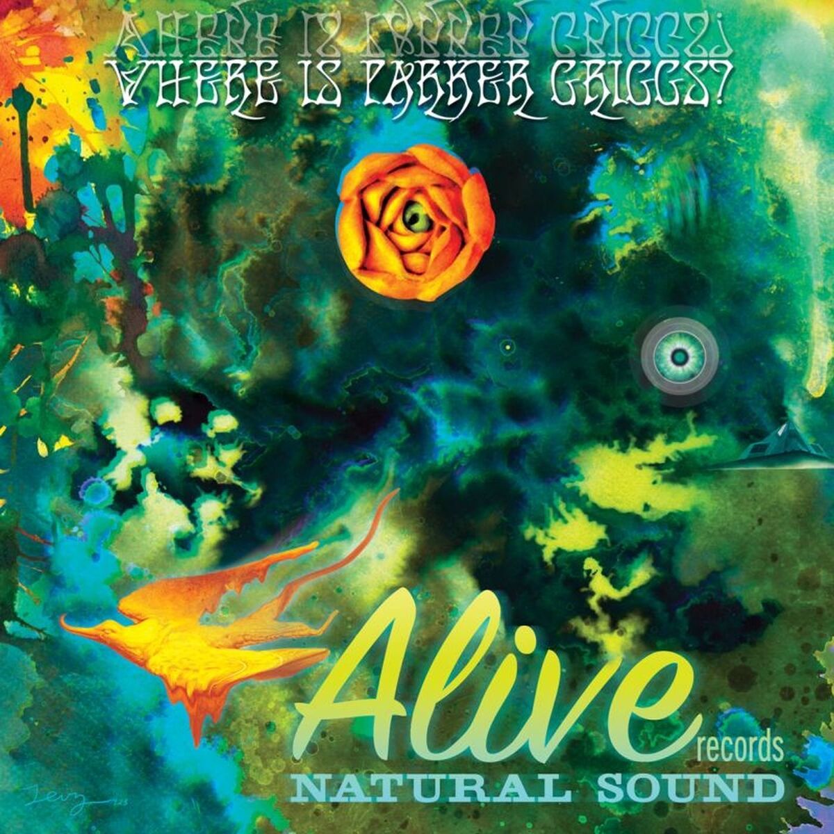 Album cover of Where Is Parker Griggs?