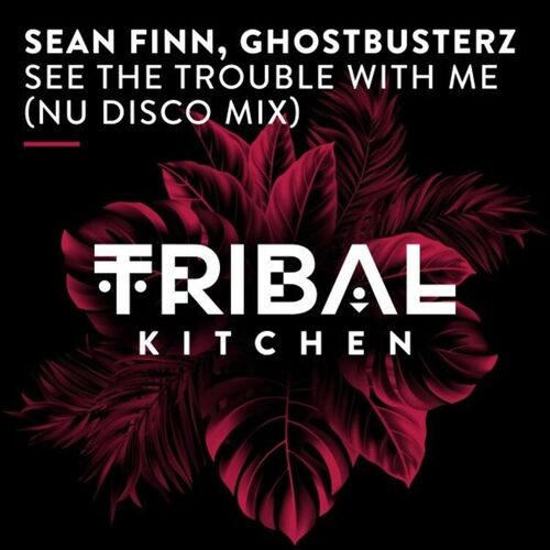  Sean Finn & Ghostbusterz - See The Trouble With Me (Nu Disco Mix) (2025) 