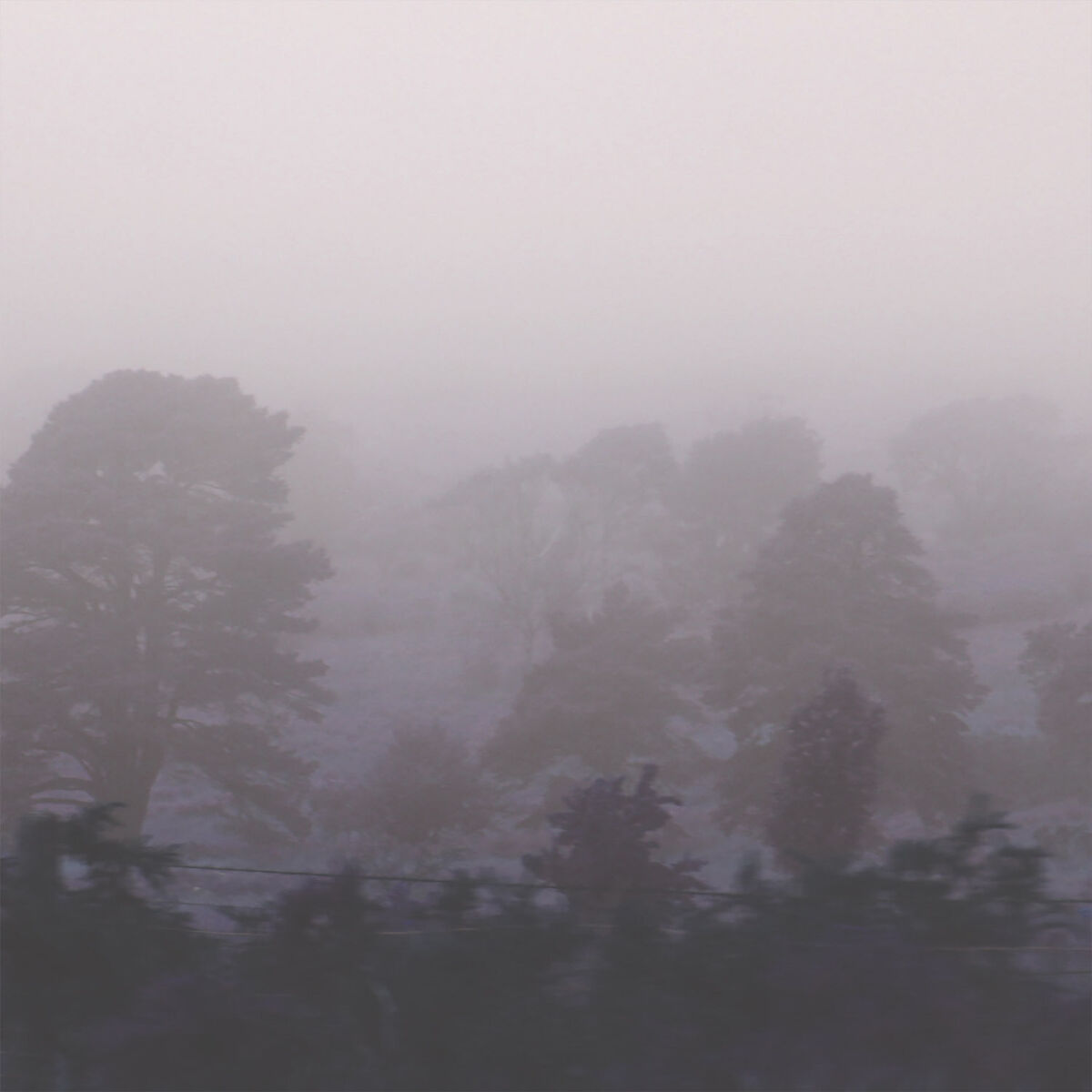 Album cover of November
