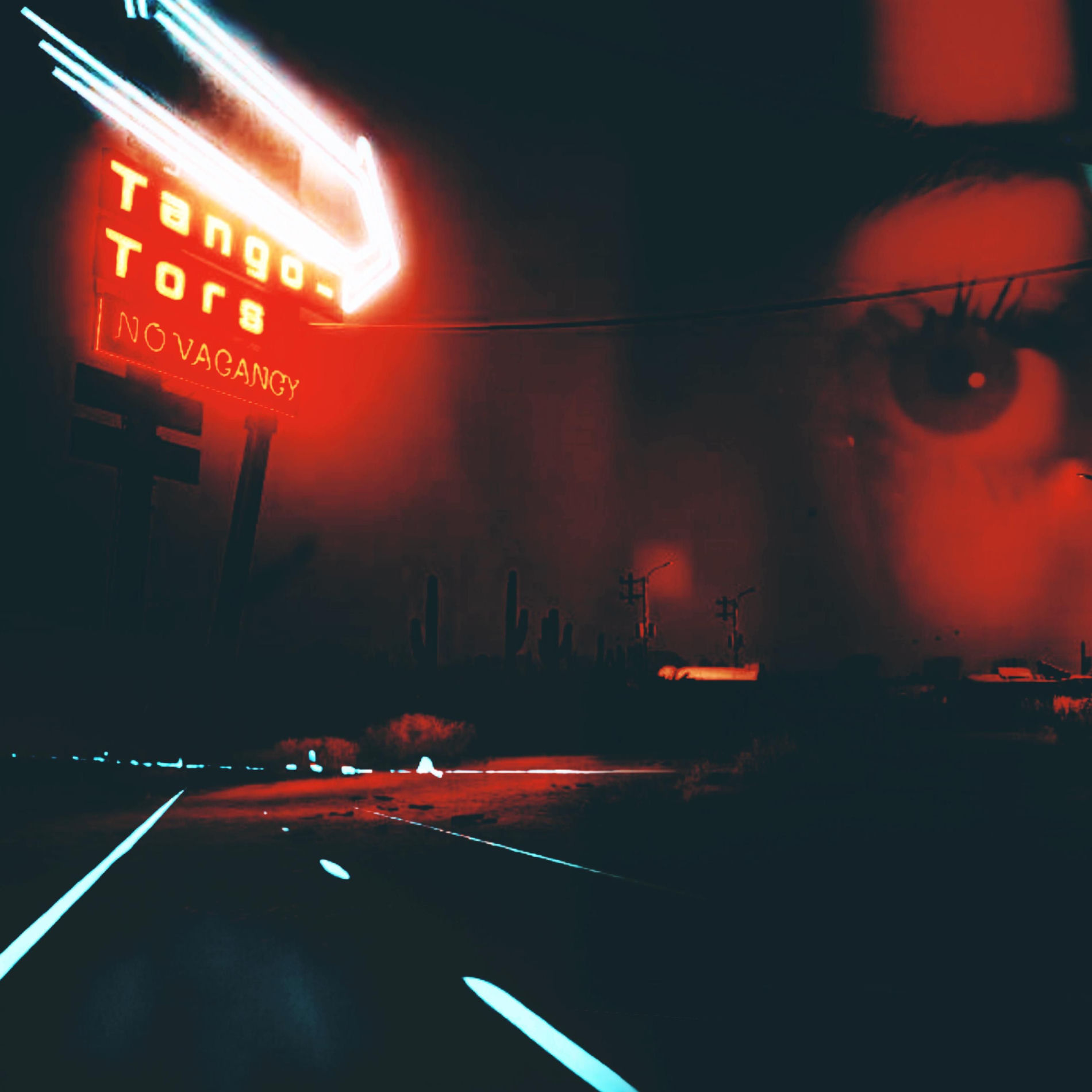 Album cover of Lost Highway