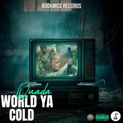 Cover of World ya Cold