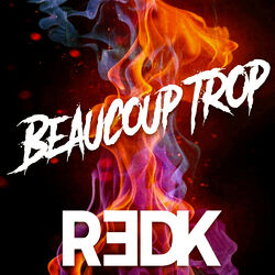 Cover of Beaucoup trop