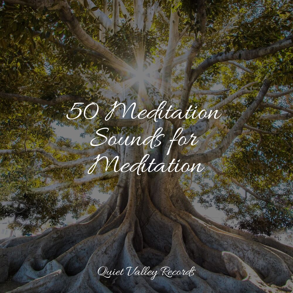 Picture of 50 Meditation Sounds for Meditation