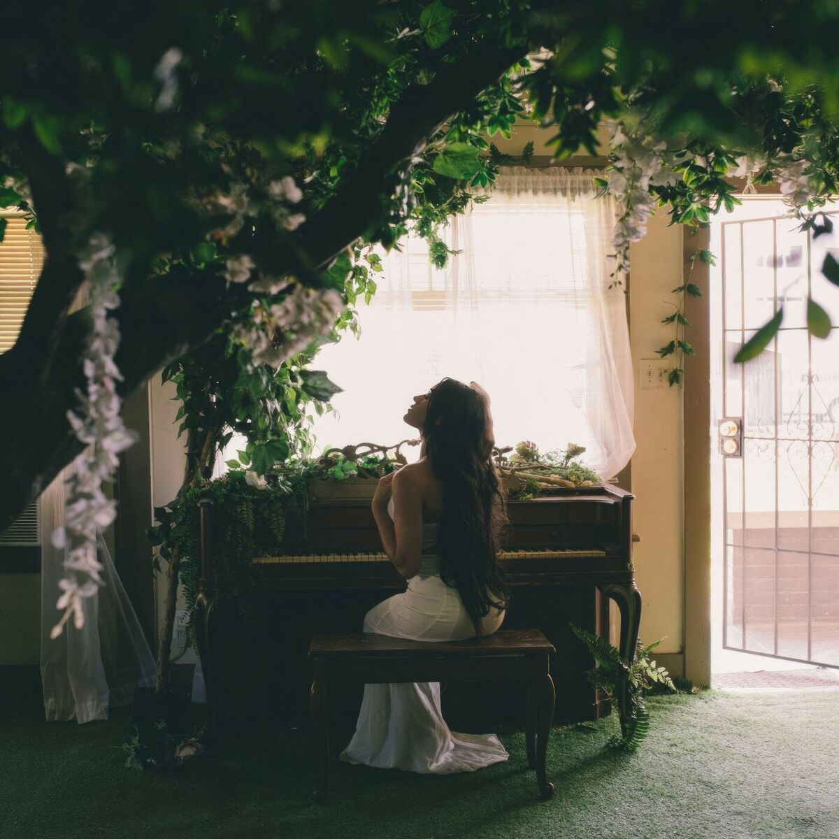 Album cover of forest green