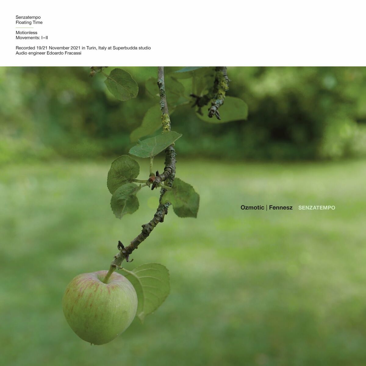 Album cover of Senzatempo