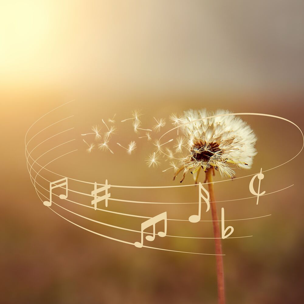 Picture of Workplace Wellness - Music for Balance, Efficiency, and Innovation