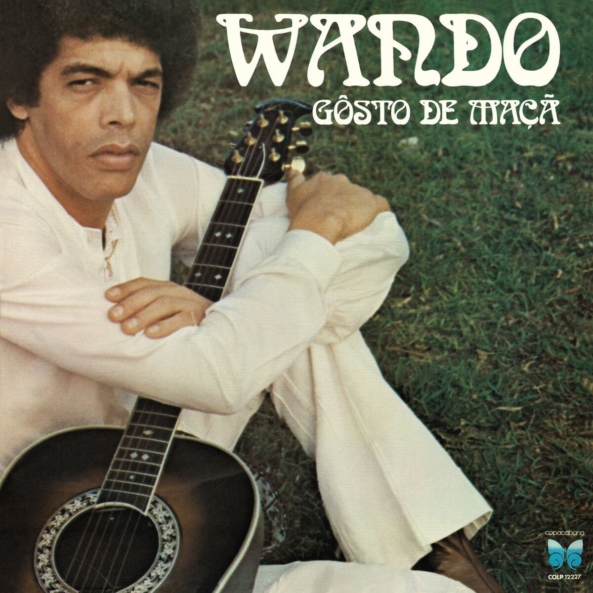 Album cover of Gôsto De Maçã