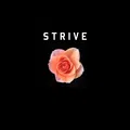 Strive