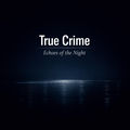 True Crime: Echoes of The Night