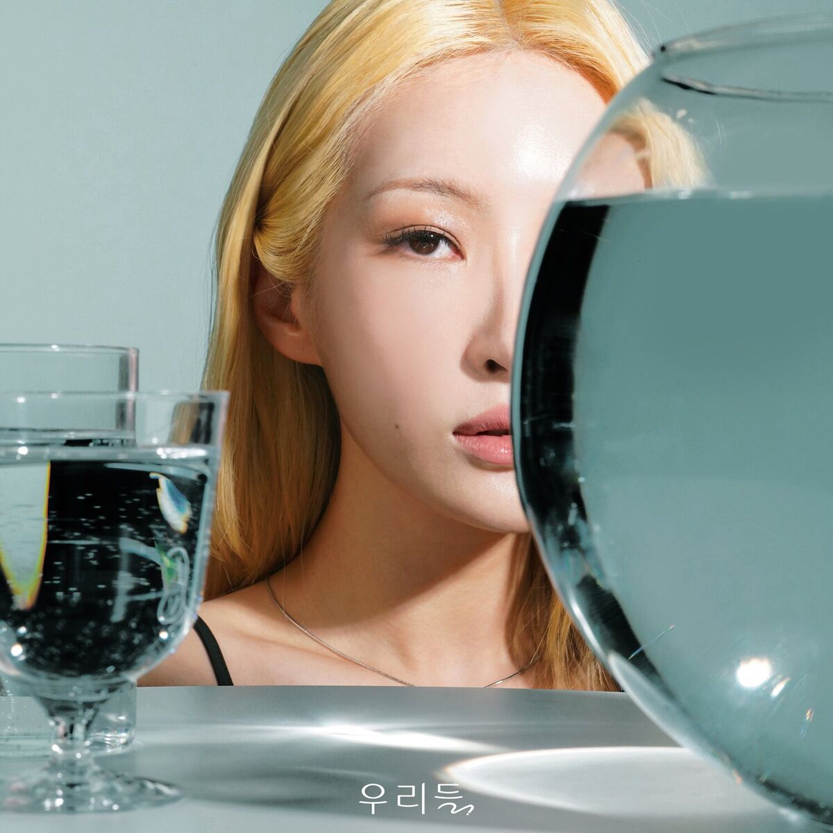 Album cover of Riddle
