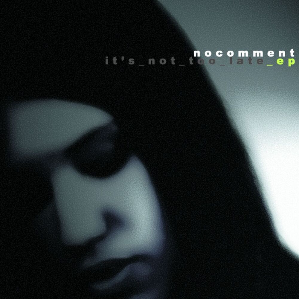 Picture of It's Not Too Late EP