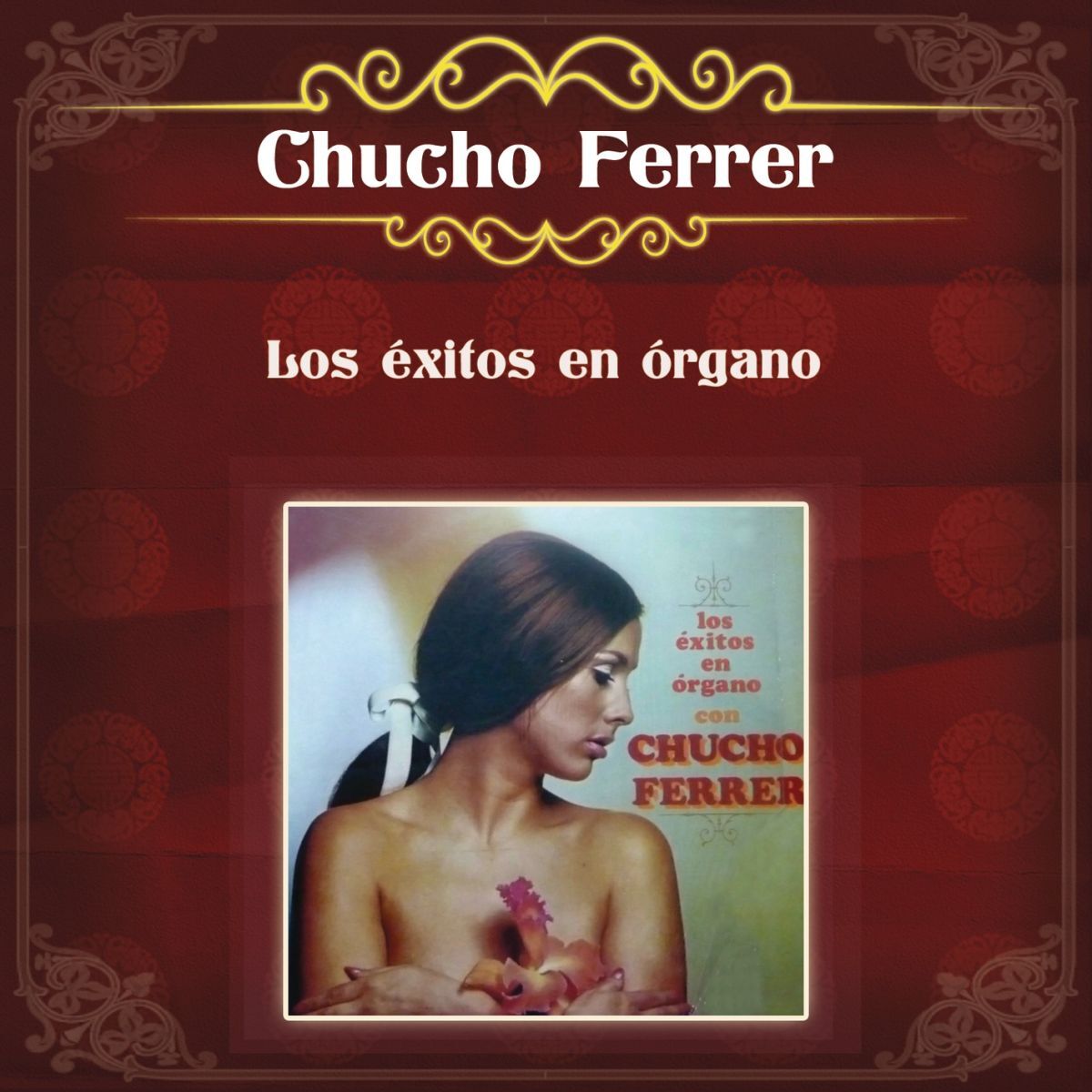 Album cover of Los Éxitos en Órgano