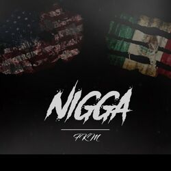 Cover of Nigga