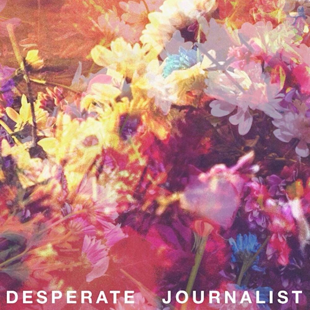 Picture of Desperate Journalist