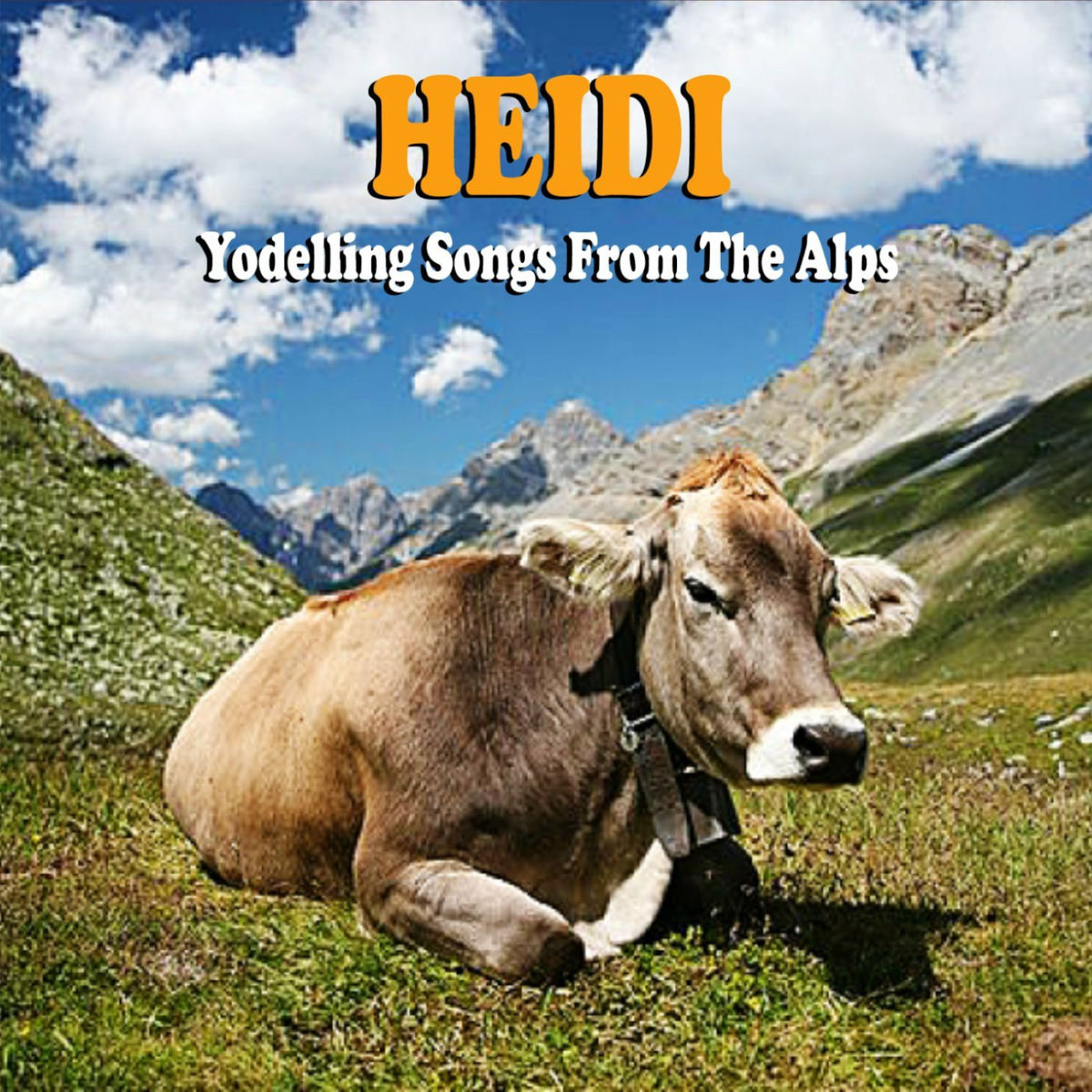 Album cover of Heidi (Yodel)