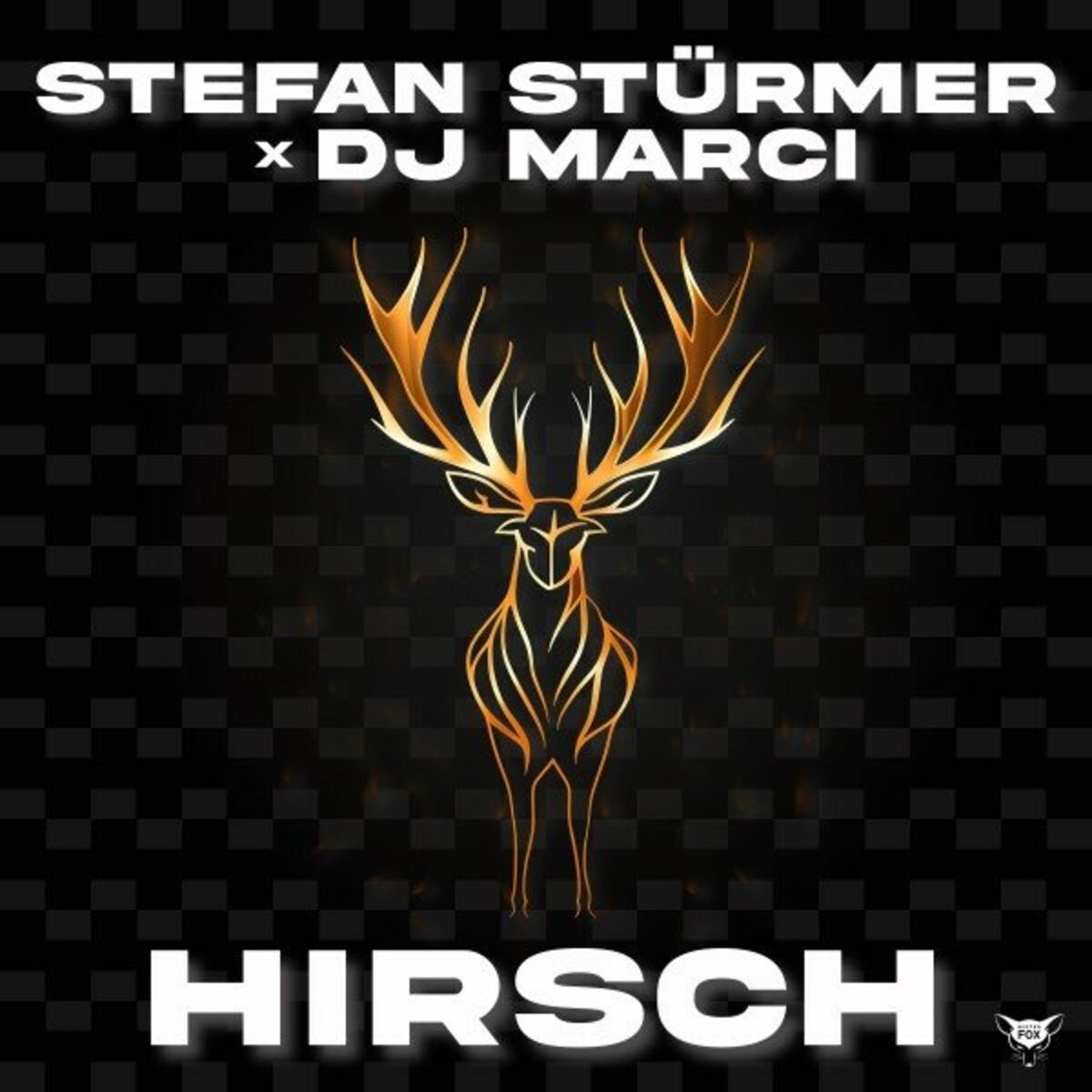 Album cover of Hirsch