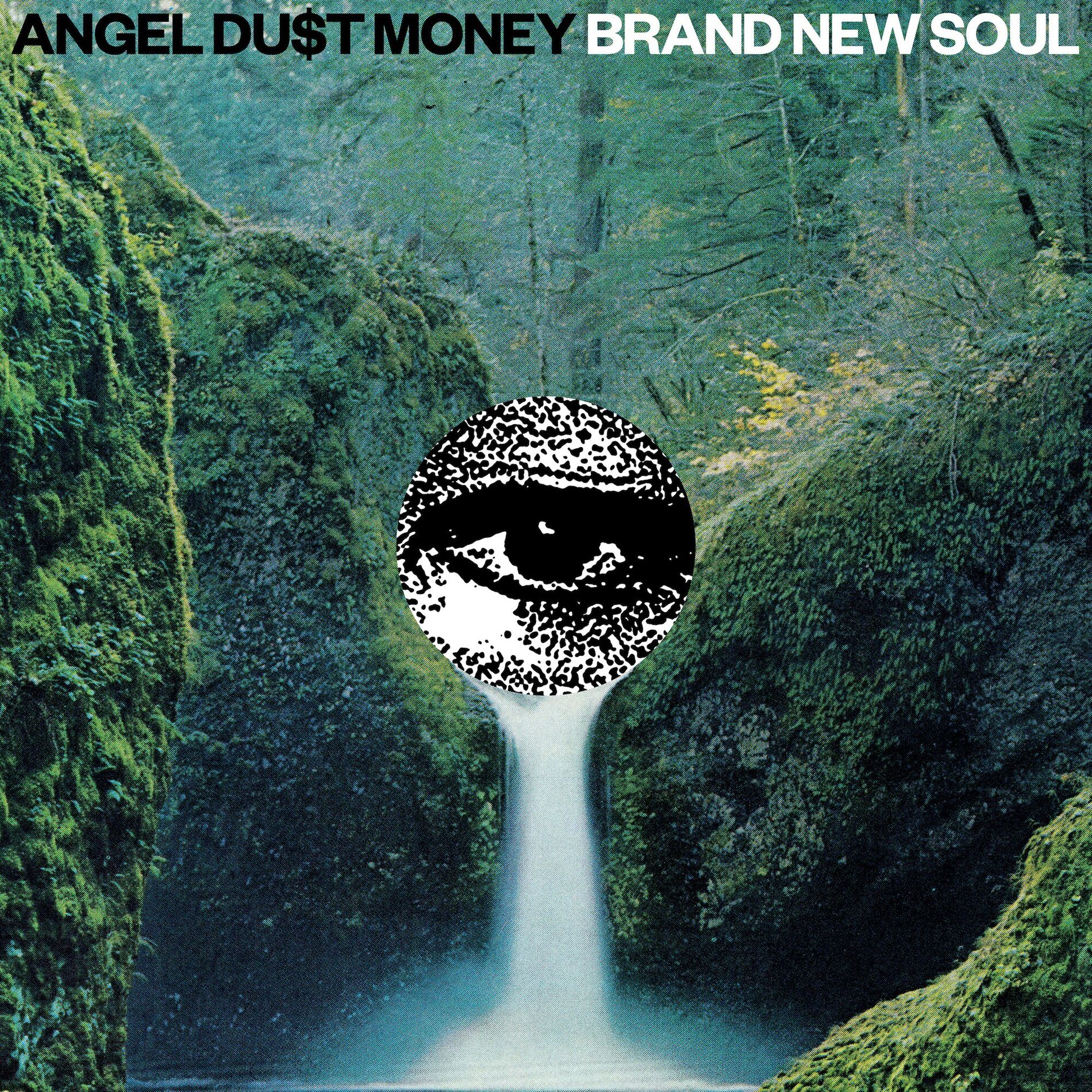 Album cover of Born 2 Run