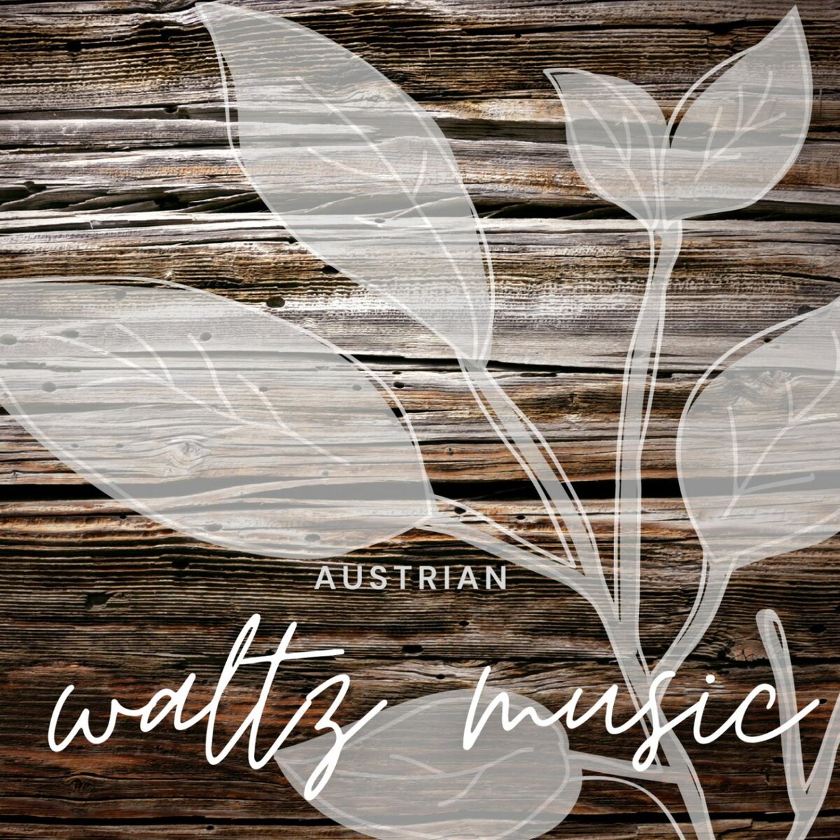 Album cover of Austrian Waltz Music