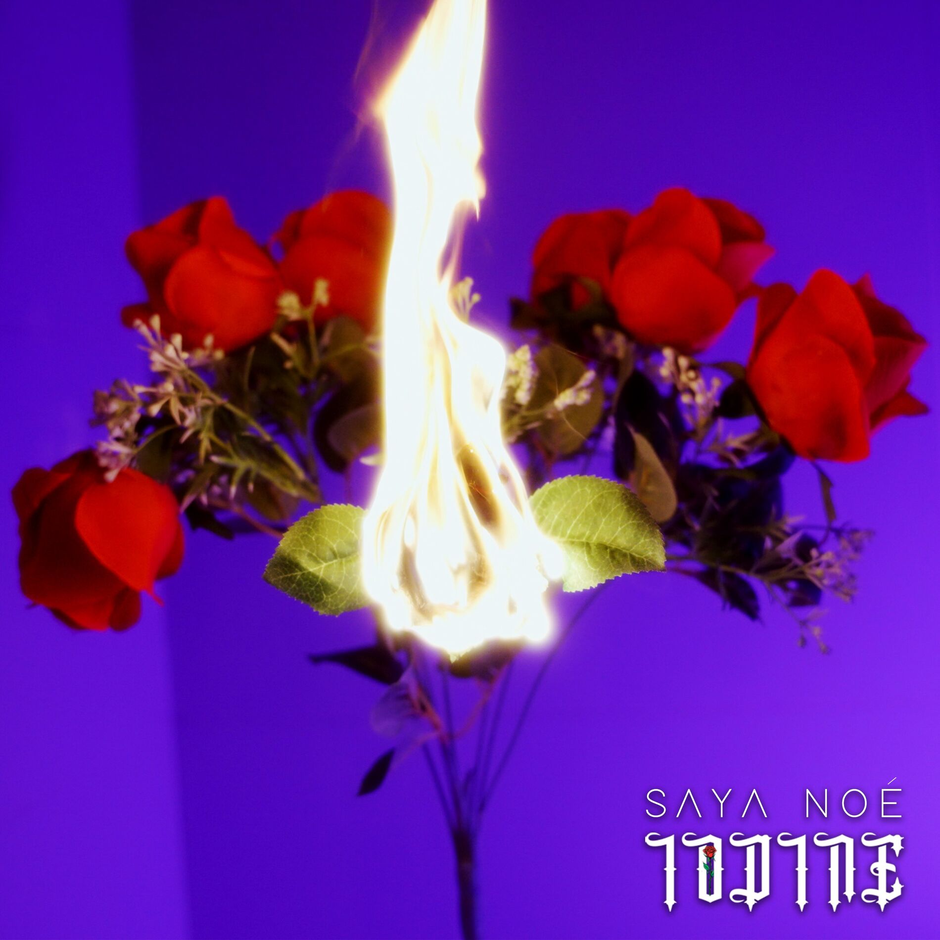 Album cover of Iodine