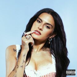 Cover of the last 90s bitch