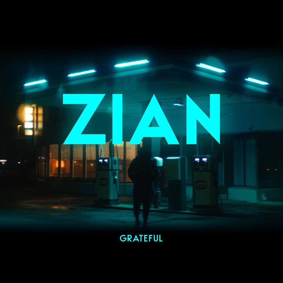 Album cover of Grateful