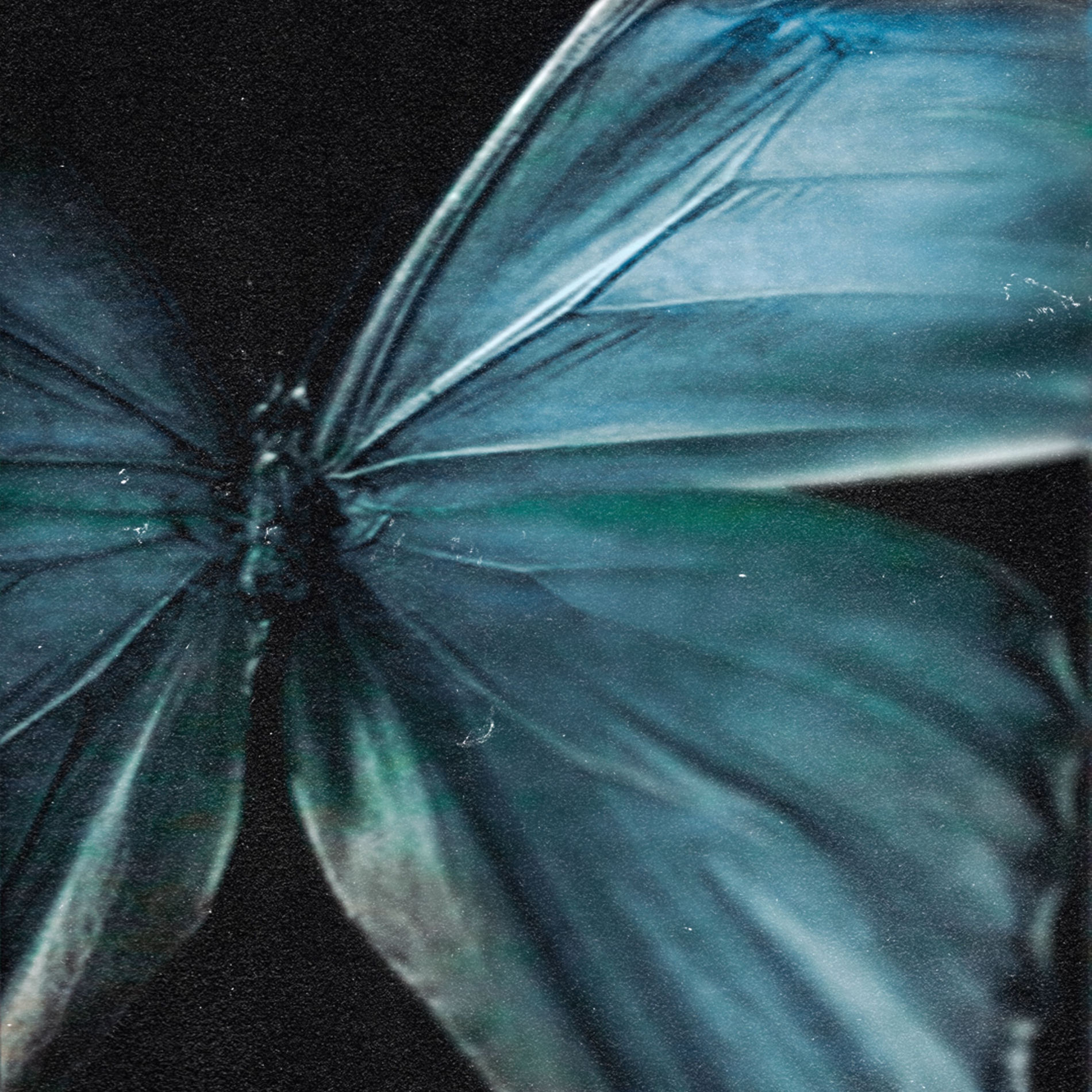 Album cover of beyond