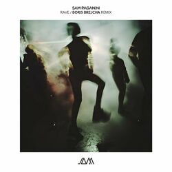 Cover of Rave (Boris Brejcha Remix)