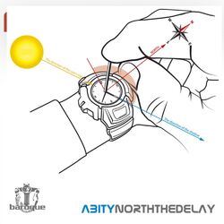 Cover of North the Delay