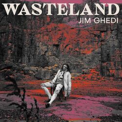 Cover of Sheaf & Feld
