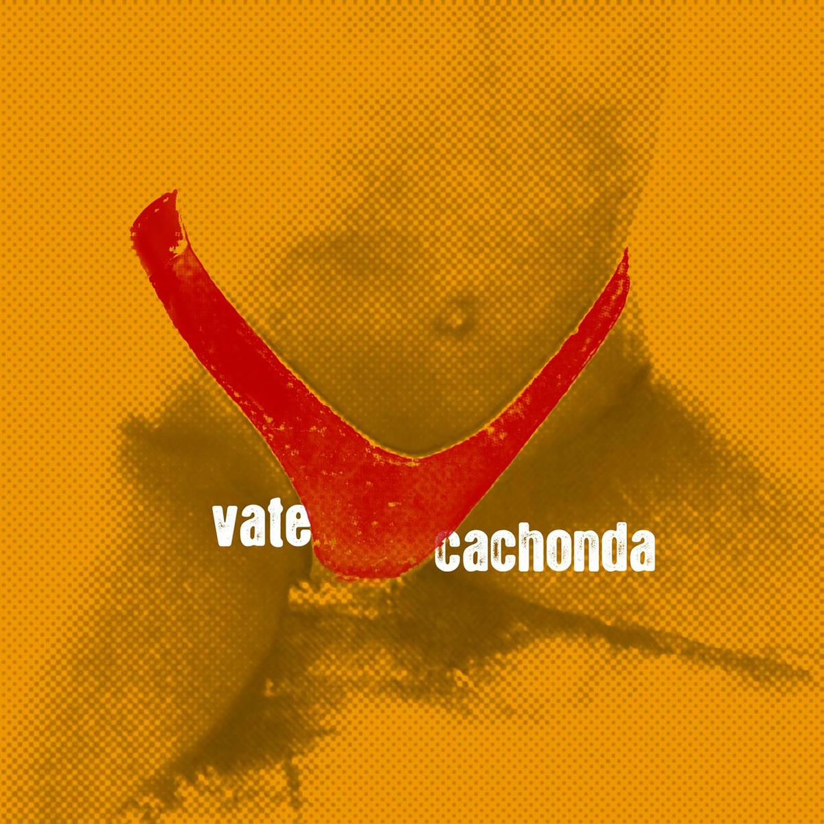Album cover of Cachonda