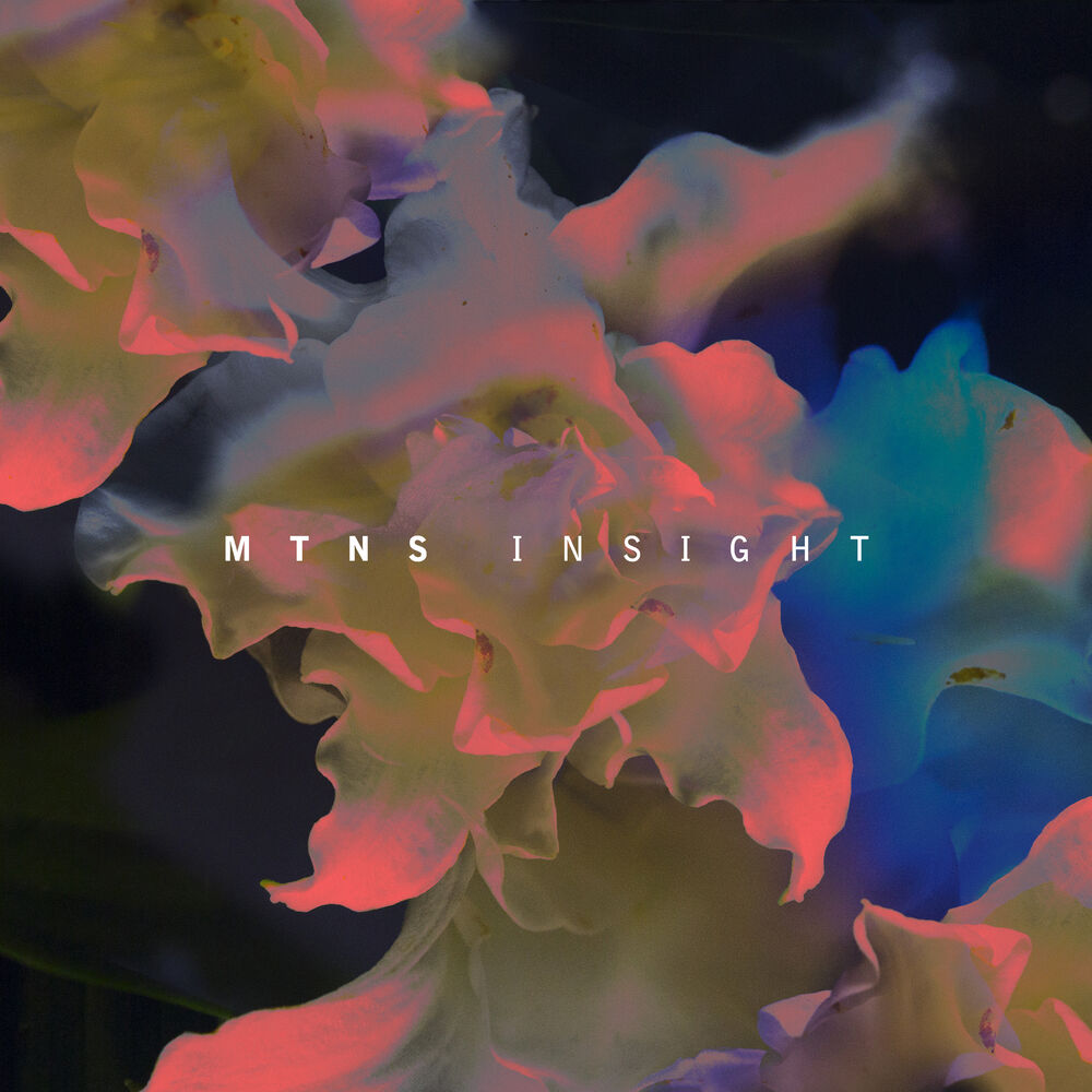 Picture of Insight