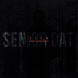 Cover of Thief In The Night