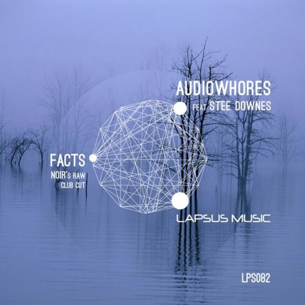 Picture of Facts (Noir's Raw Club Cut)