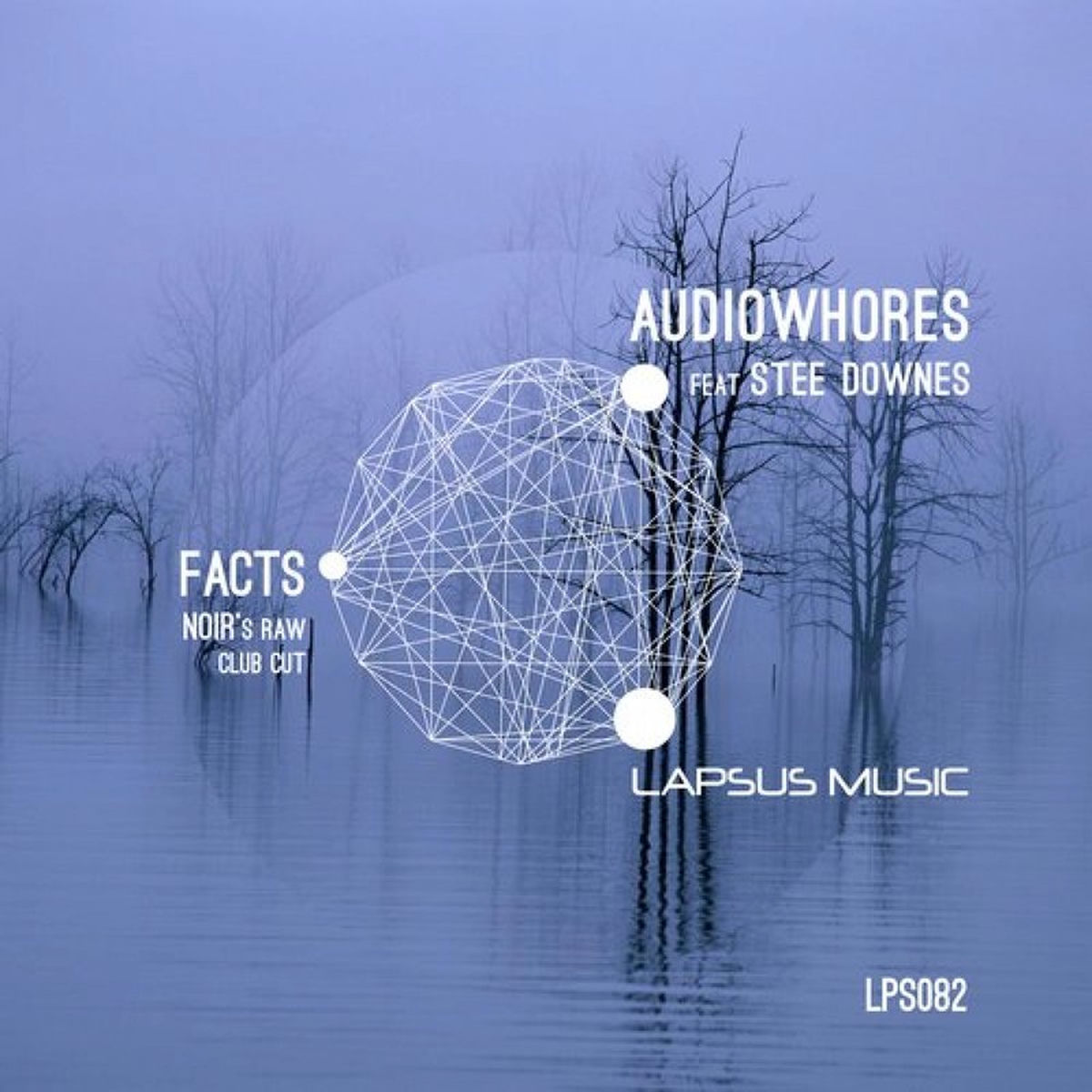 Album cover of Facts (Noir's Raw Club Cut)