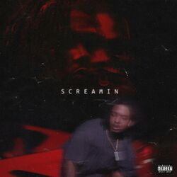 Cover of Screamin