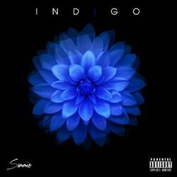 Cover of Indigo