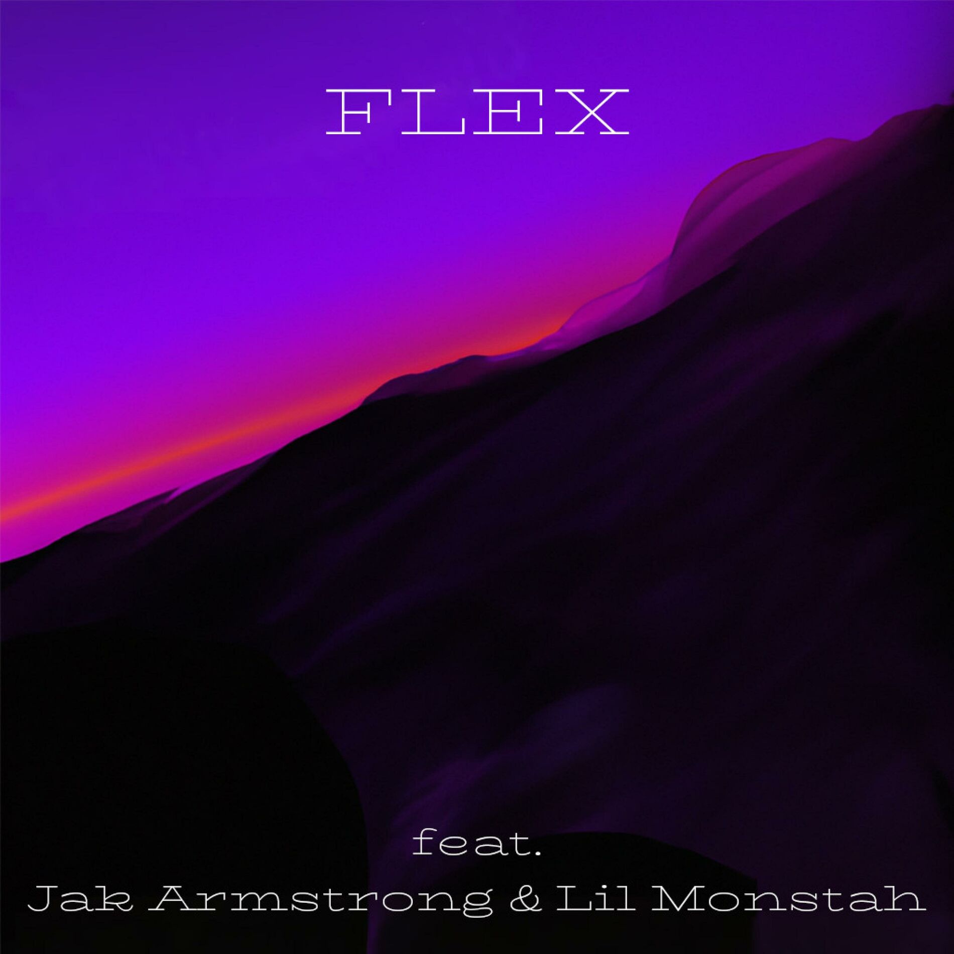 Album cover of Flex
