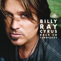 Cover of Back to Tennessee