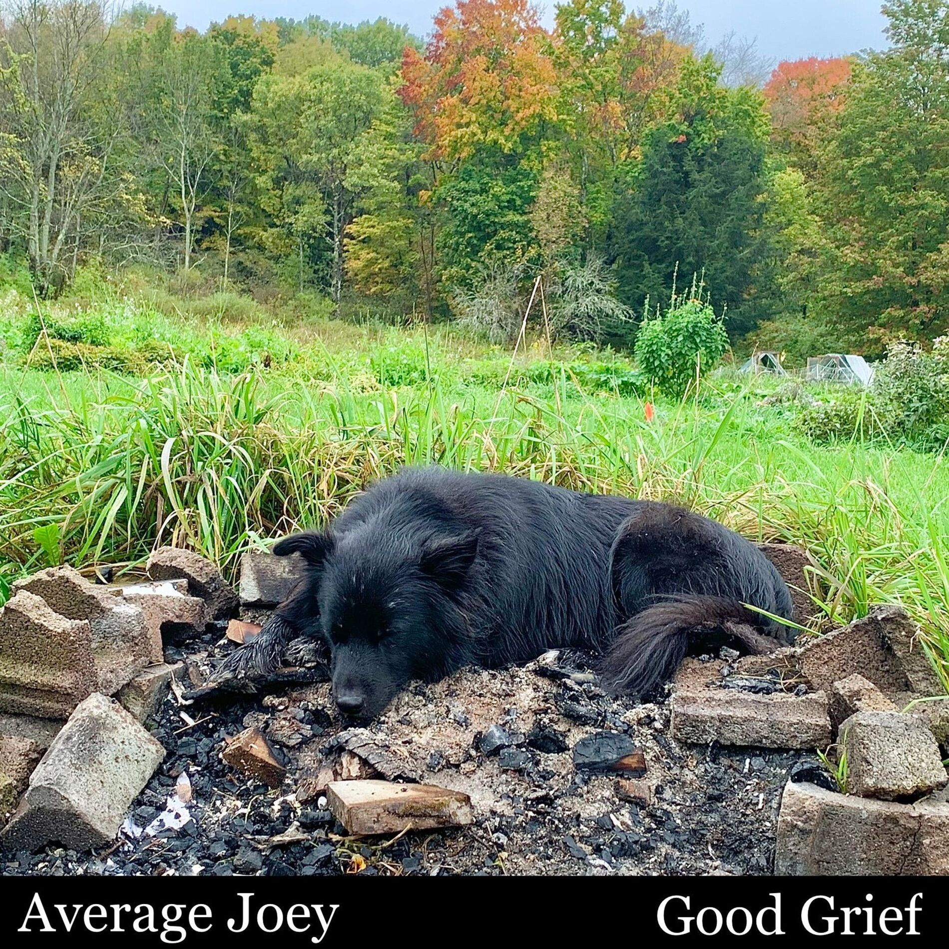Album cover of Good Grief